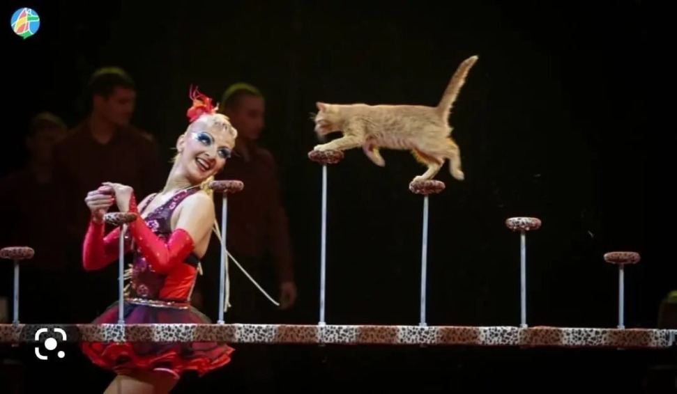 https://cdn.intickets.ru/sites/default/files/gallery_image/02b5bf4c-4b1bb07c-2f646478.jpg
