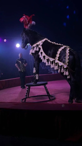 https://cdn.intickets.ru/sites/default/files/gallery_image/15d3fbba-42b6a9fd-cb140394.jpg